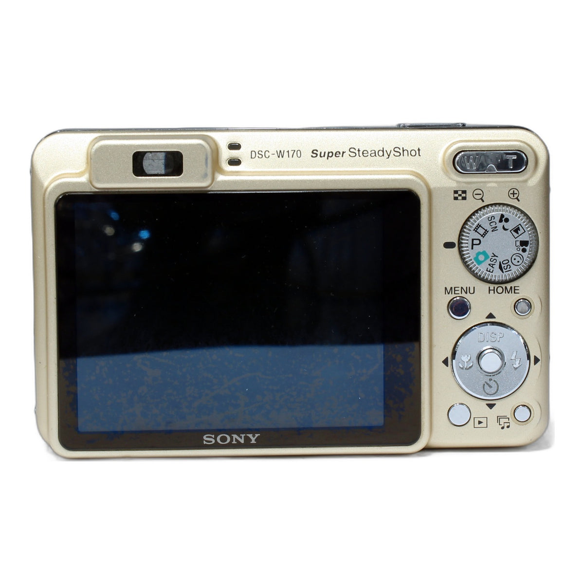 Sony Cyber-Shot DSC-W170 Digitale Kompaktkamera mit Tasche Digitalkamera